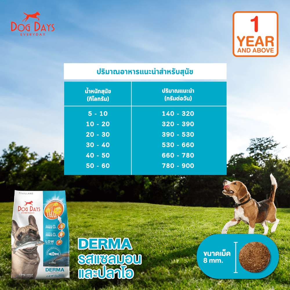 อาหารเม็ดสำหรับสุนัข DOG DAYS เกรดโฮลิสติก รสปลา สูตร DERMA (2.8 KG)
